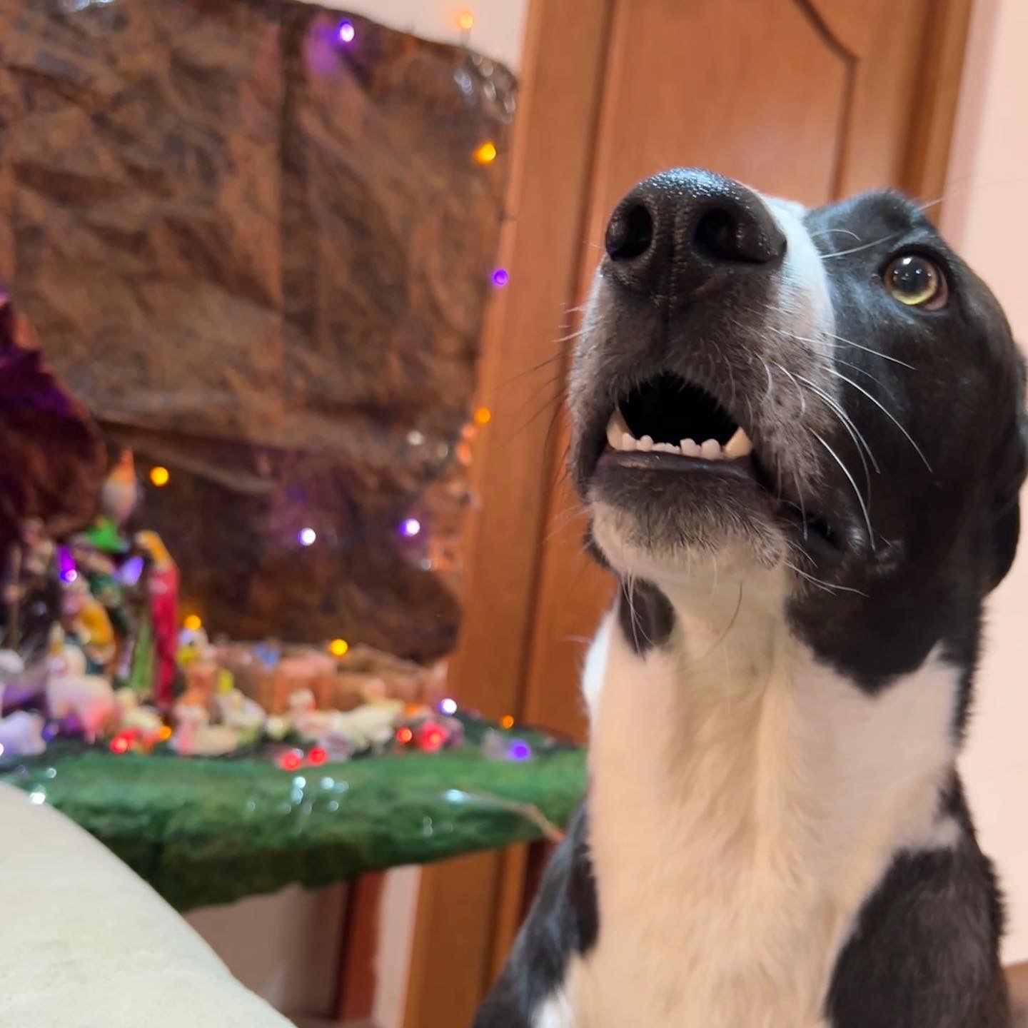 Navidad con Zeus