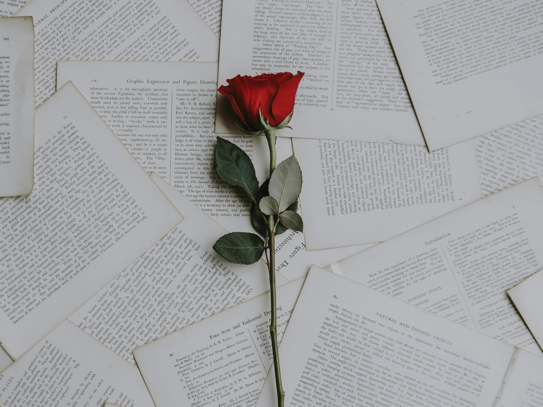 Foto de Annie Spratt en Unsplash