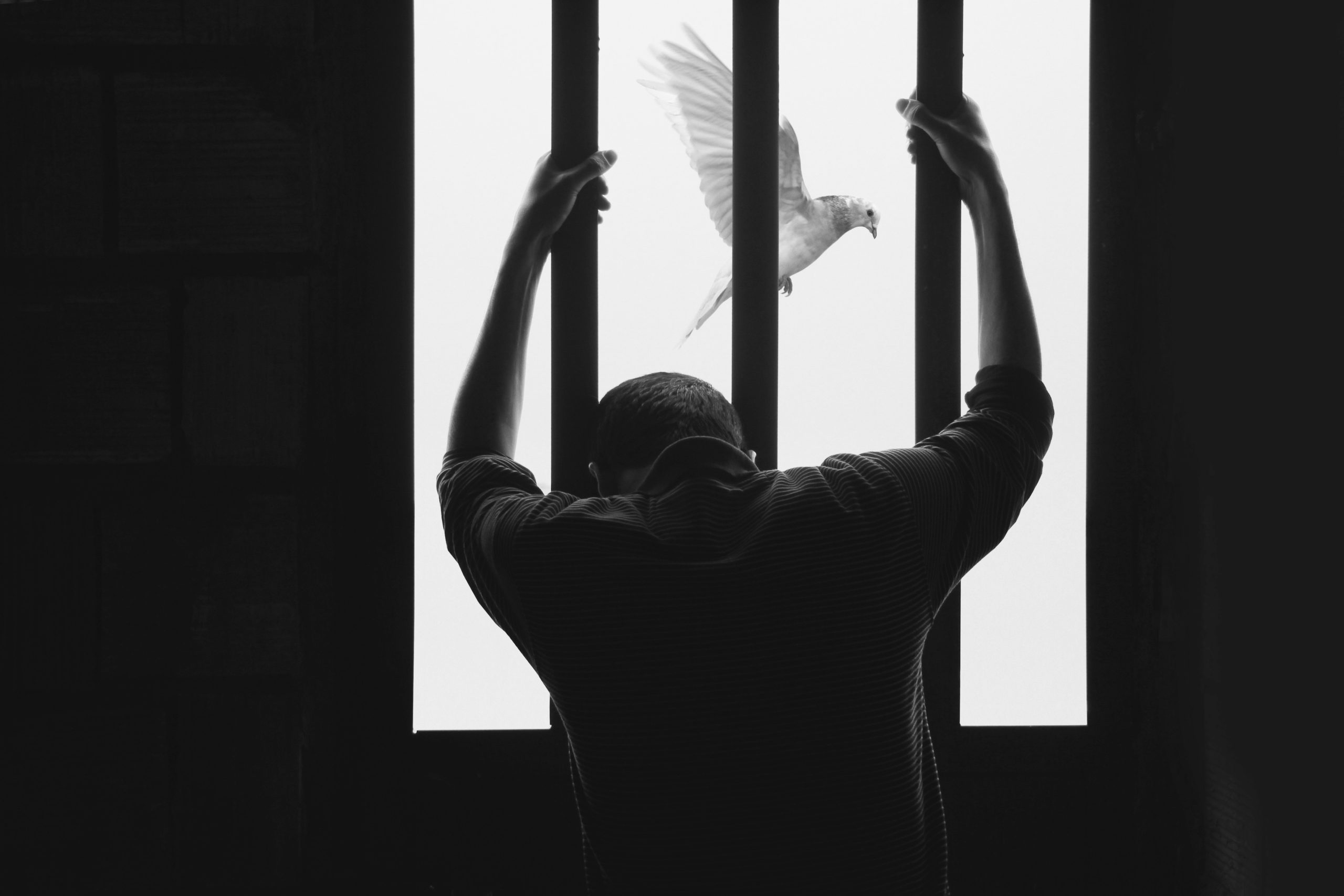 Foto de Hasan Almasi en Unsplash