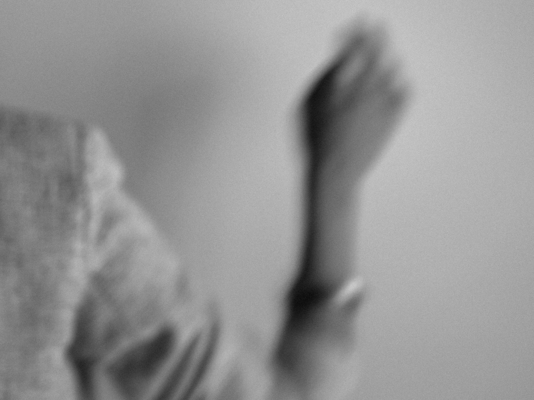 Foto de Mathilde Langevin en Unsplash