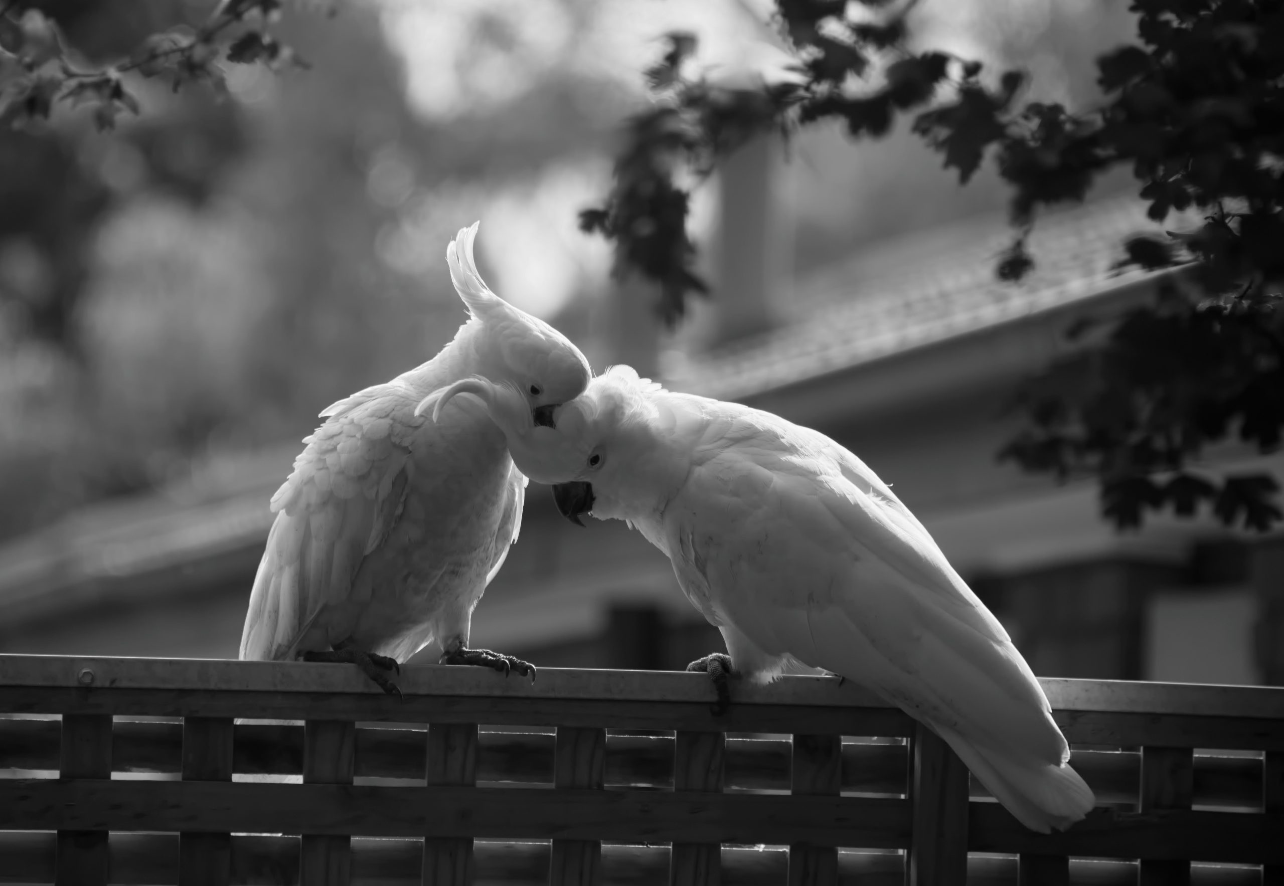 Foto de Bruce Comber en Unsplash