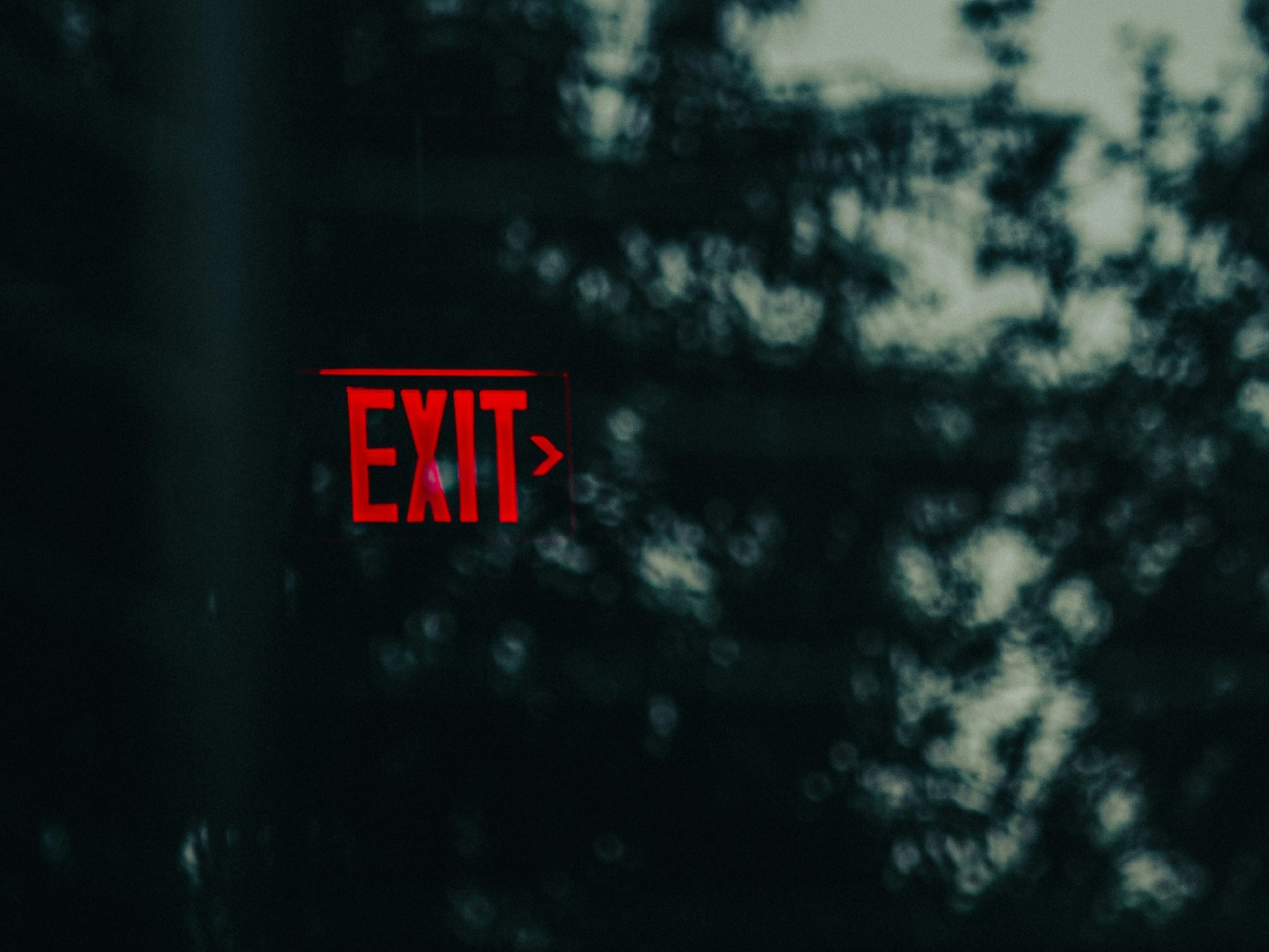 Foto de Kellen Riggin en Unsplash