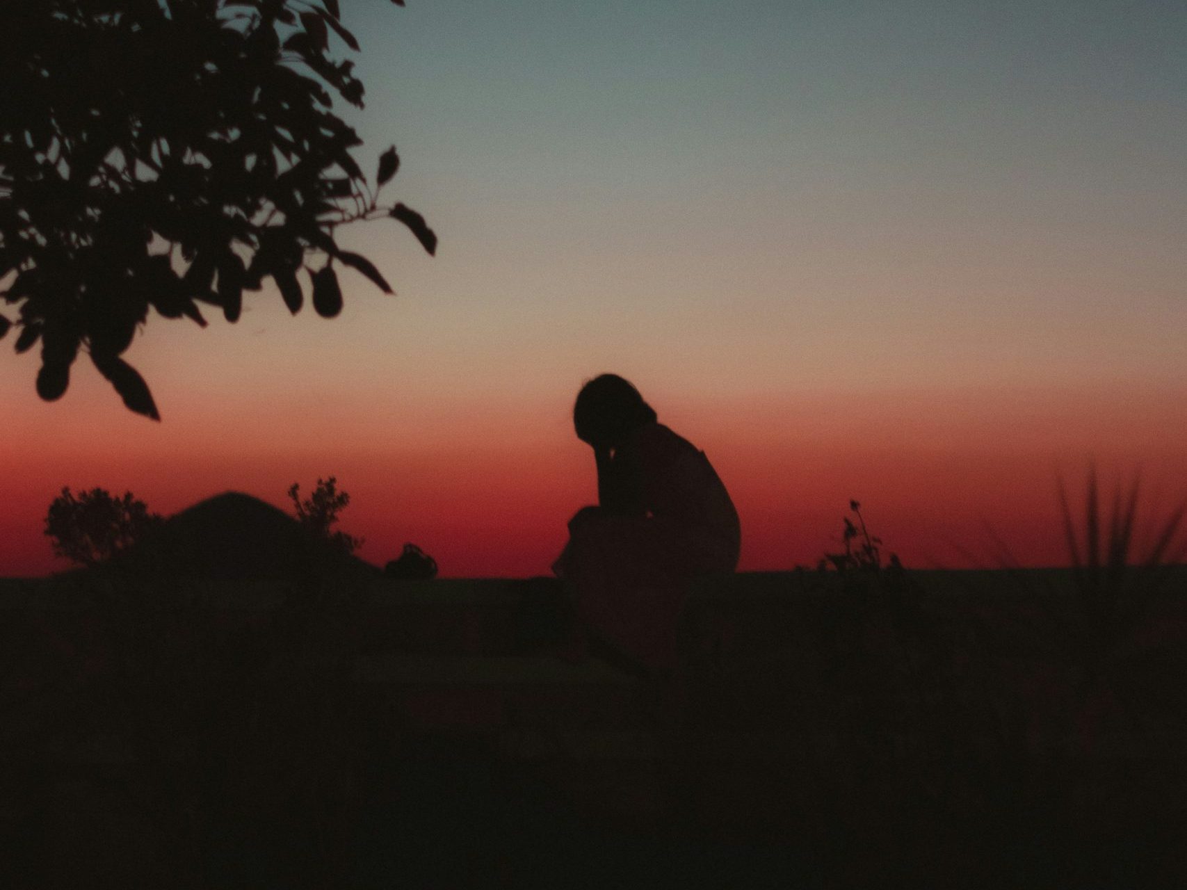 Foto de MSCC en Unsplash