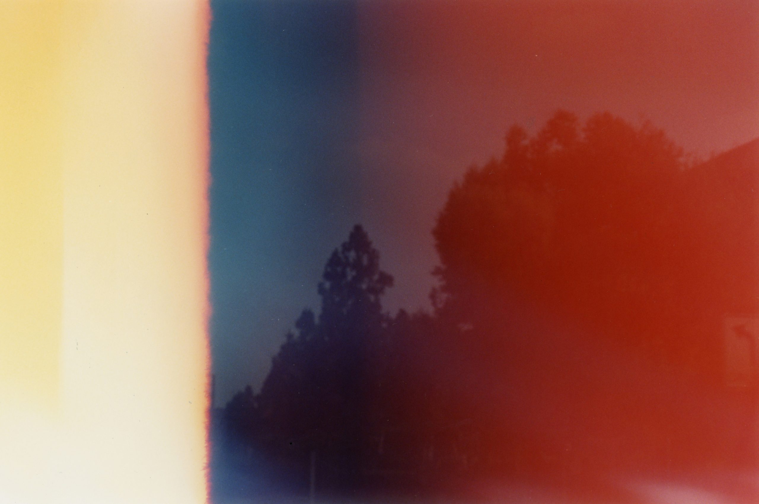 Foto de Randy Laybourne en Unsplash