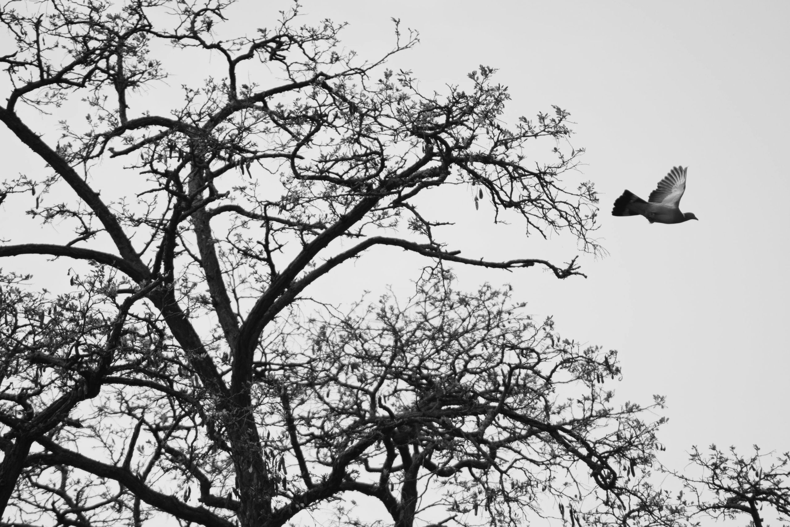 Foto de Lorenz Hoffmann en Unsplash