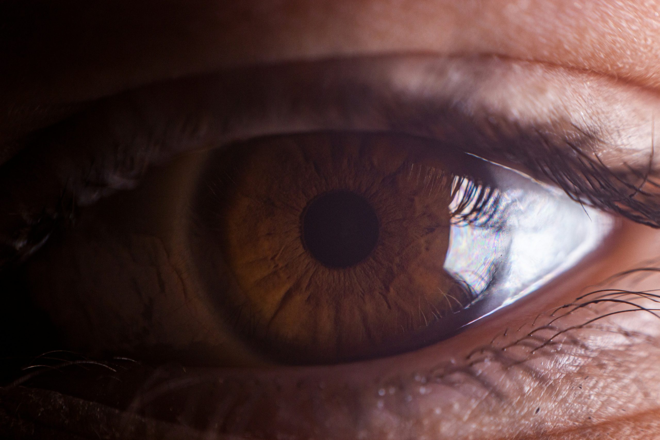 Foto de Nikita Pavlov en Unsplash