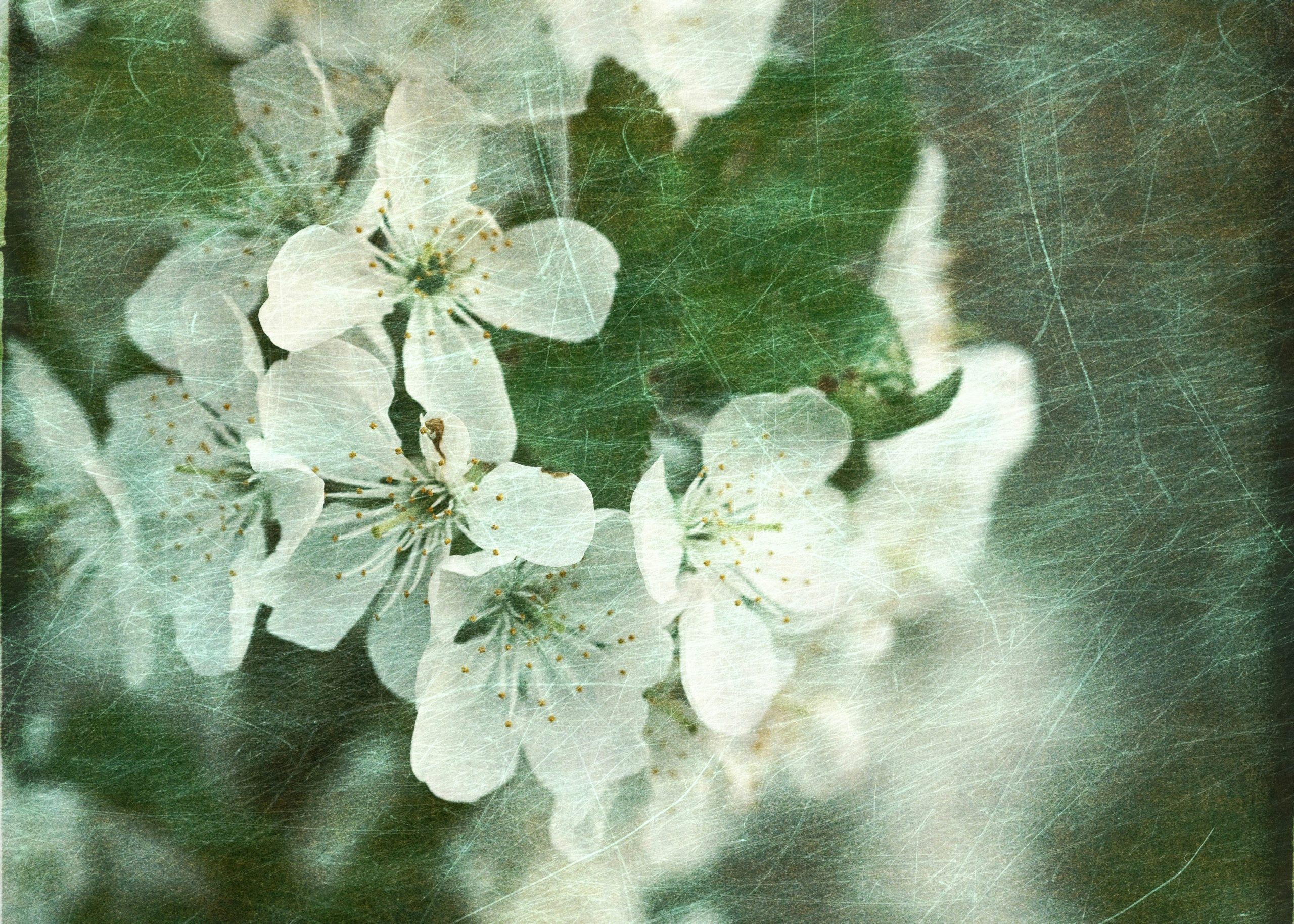 Foto de Roma Kaiuk🇺🇦 en Unsplash