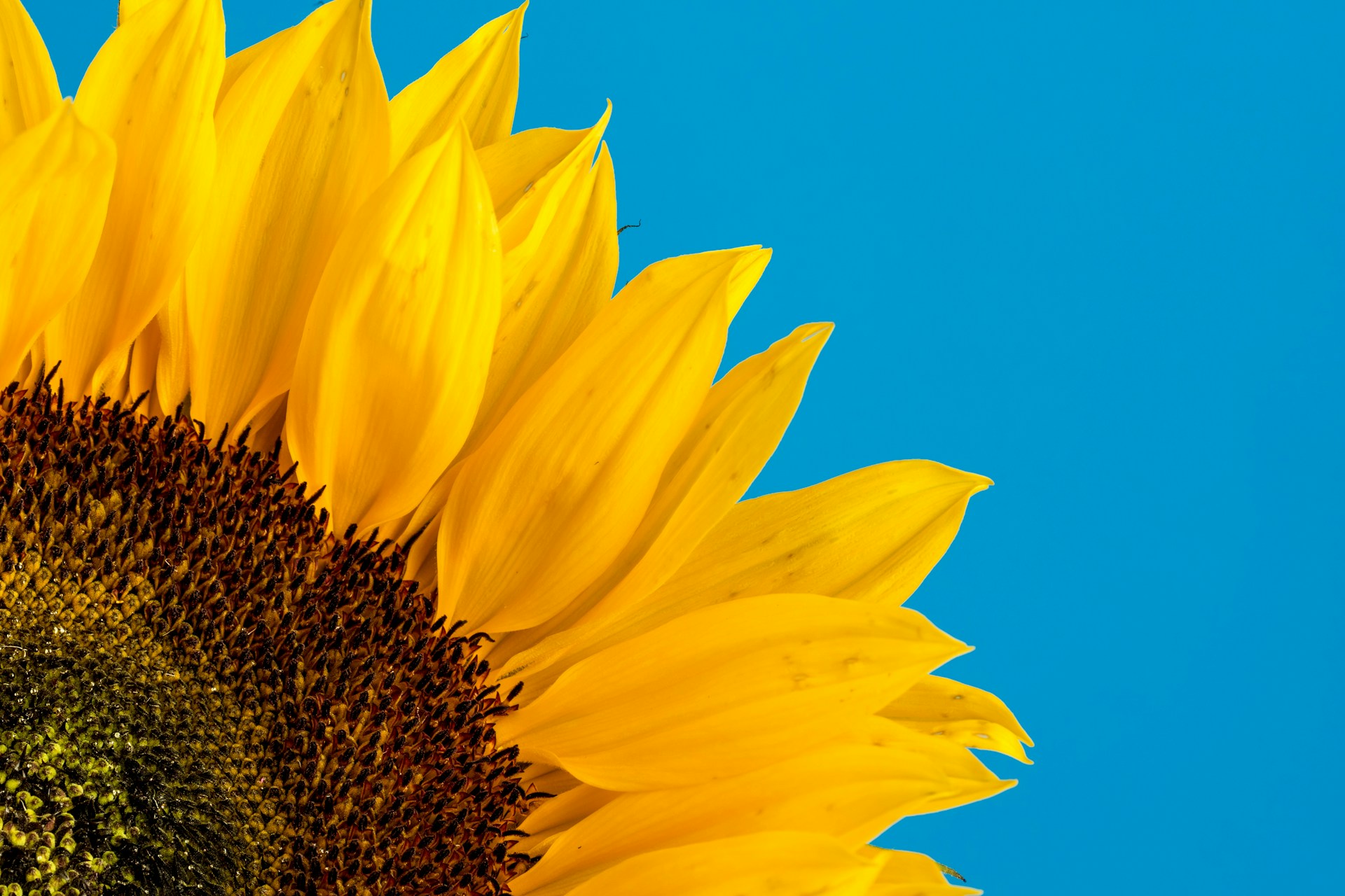 Foto de David Travis en Unsplash