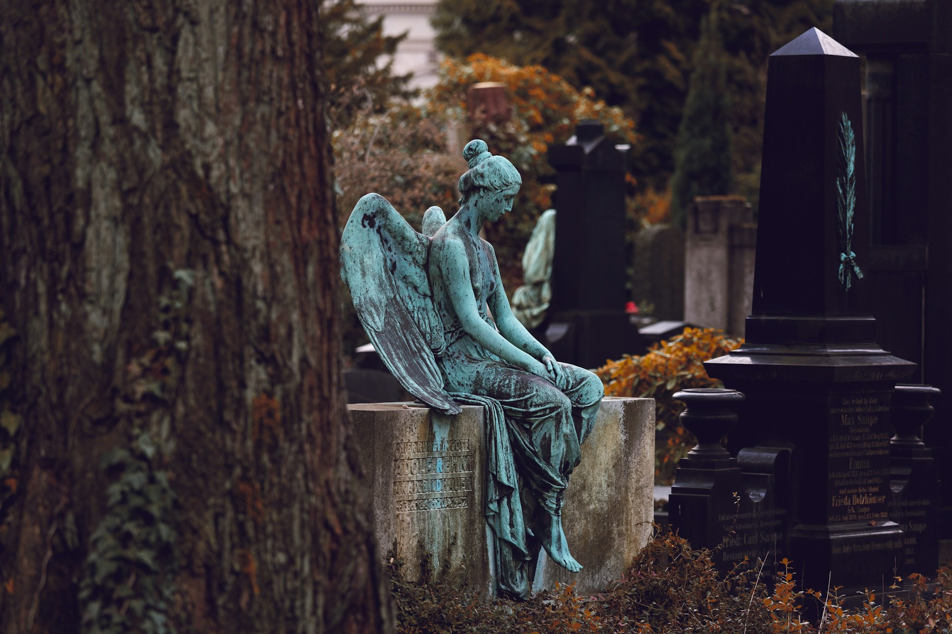 Foto de Veit Hammer en Unsplash